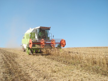 Se caută şefi la Agenţia de Plăţi şi Intervenţie pentru Agricultură-Centrul judeţean Constanţa